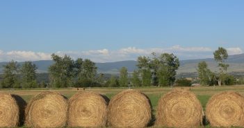 Montana’s farmland values continue moderate downward trend in latest USDA estimates