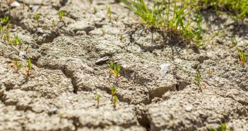 Drought Dry Cracks Ground  - frolicsomepl / Pixabay