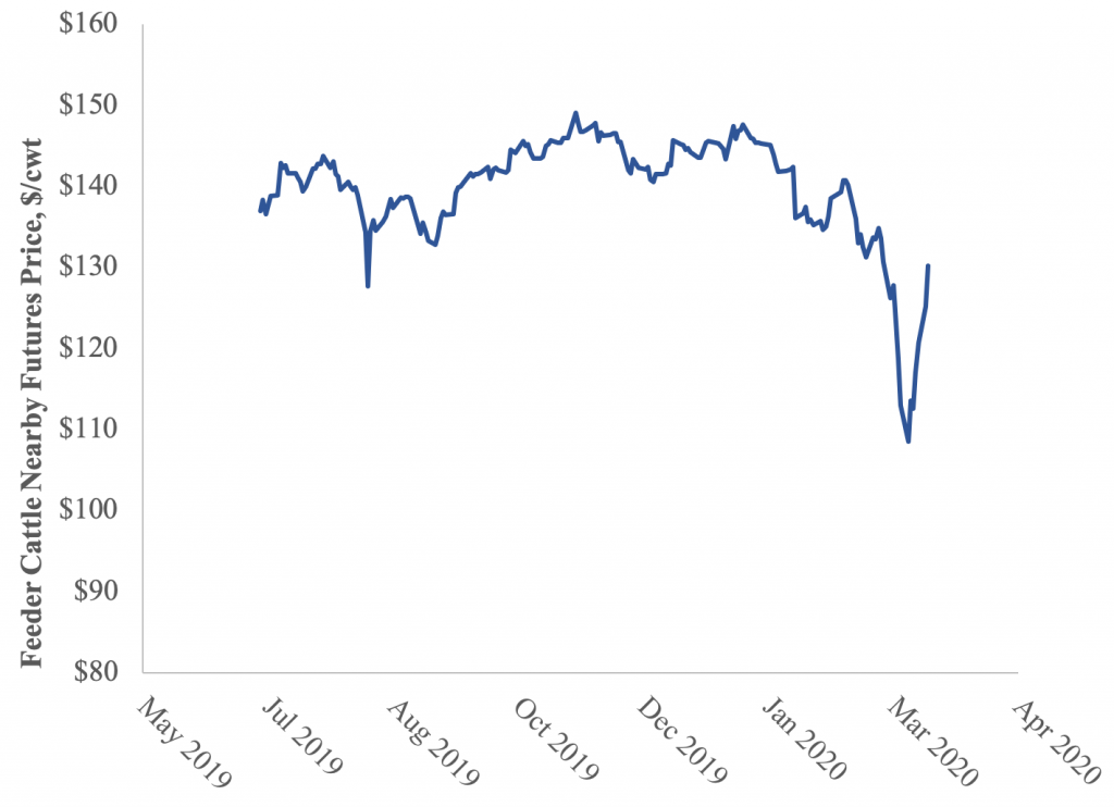 Feeder cattle futures prices AgEconMT