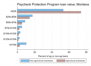 Paycheck Protection Program loan value distribution, agricultural and non-agricultural businesses